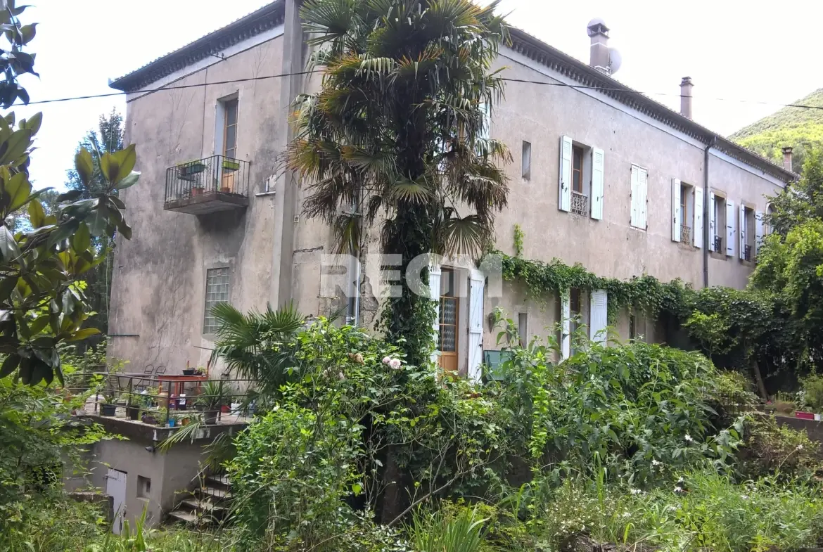 Belle maison bourgeoise 9 pièces avec cave et terrain à Saint-Jean-de-Valeriscle 