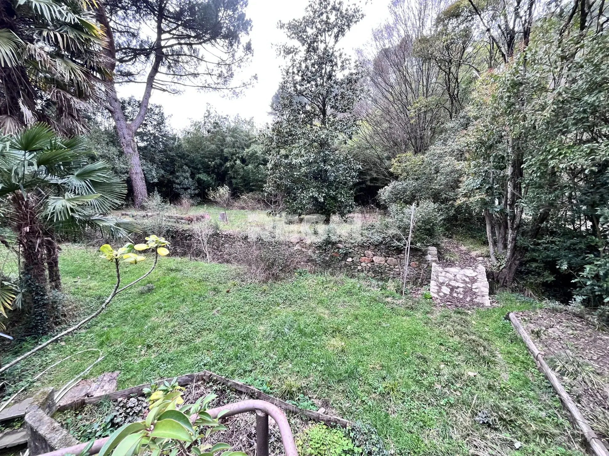 Belle maison bourgeoise 9 pièces avec cave et terrain à Saint-Jean-de-Valeriscle 