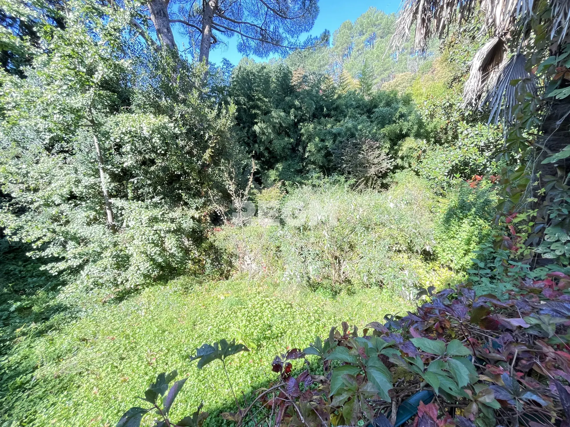 Belle maison bourgeoise 9 pièces avec cave et terrain à Saint-Jean-de-Valeriscle 