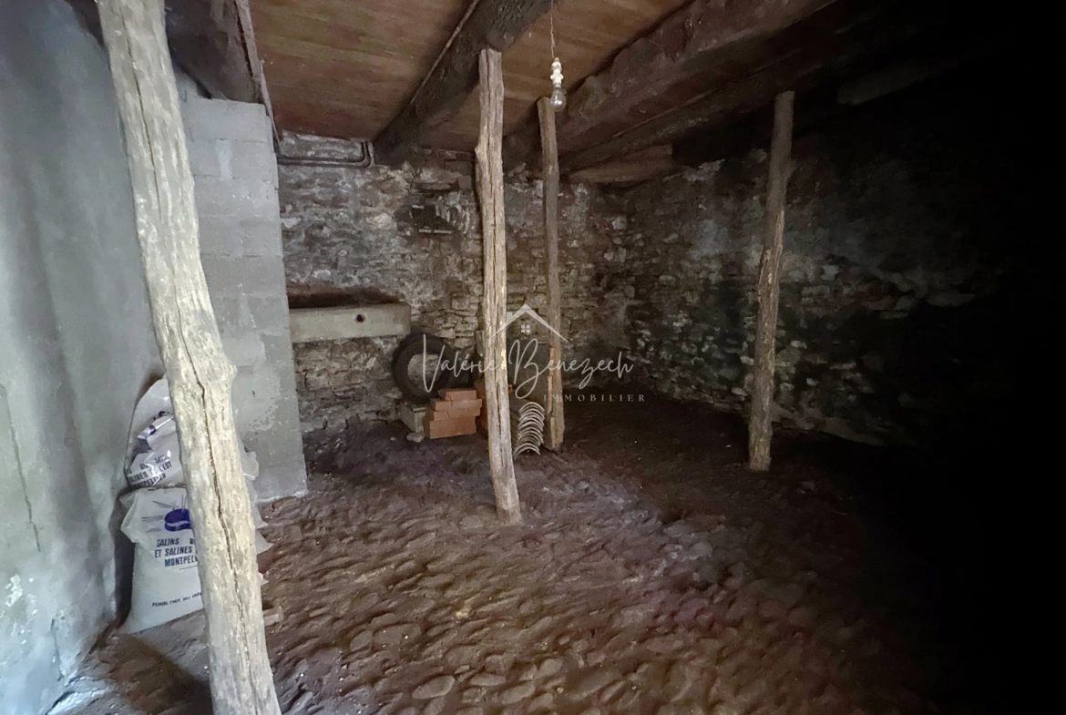 Maison T4 à rénover avec jardin en bord de rivière à Vabres-l’Abbaye 