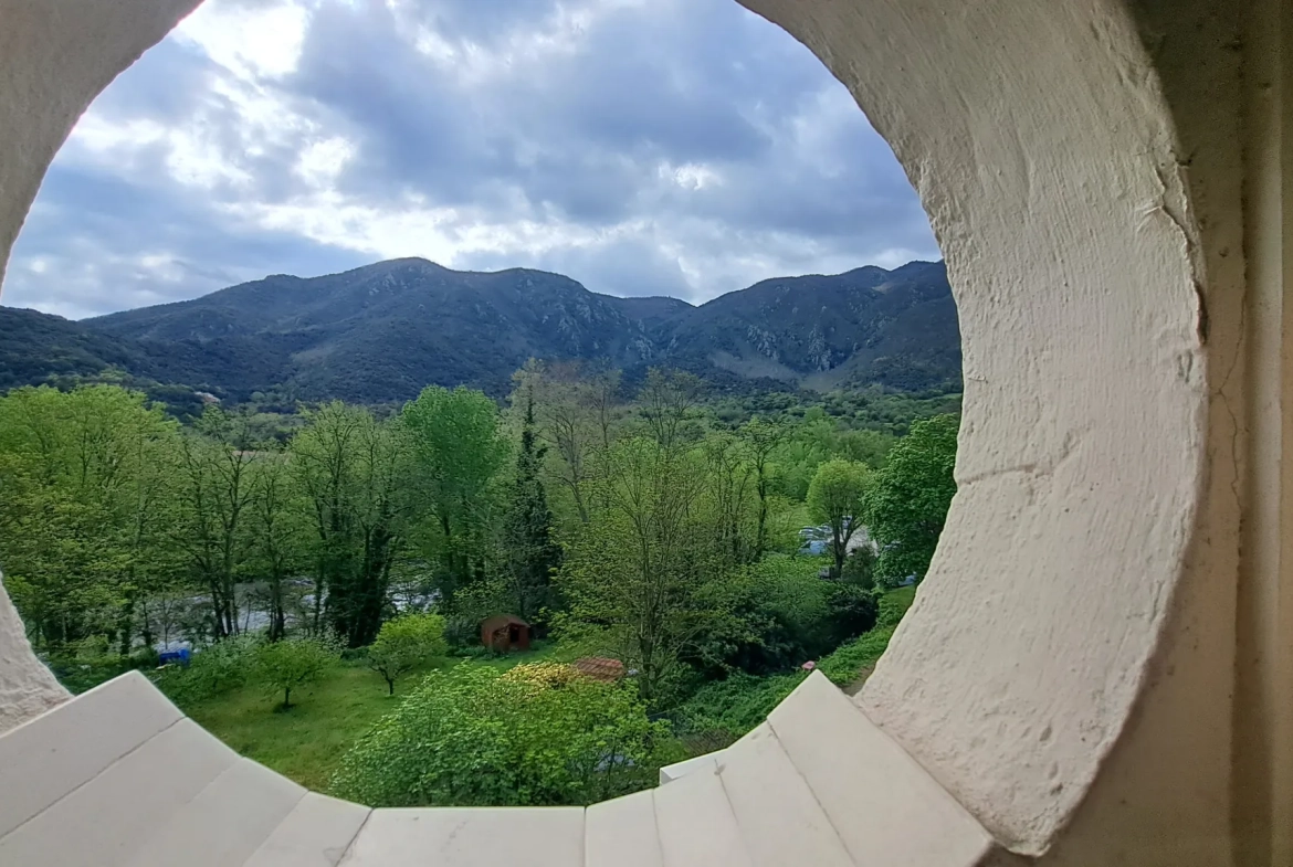 Maison atypique de 200 m² avec terrasse et vue sur les Pyrénées à Arles sur Tech 