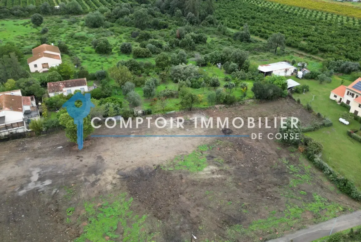 Terrain constructible à Ghisonaccia secteur Saint Antoine de 1074 m² 