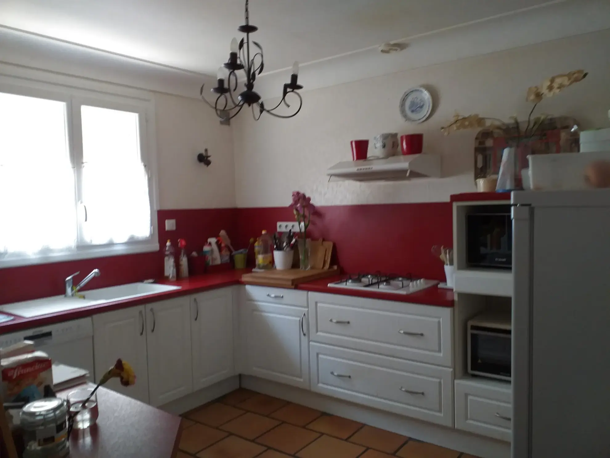 Maison familiale avec piscine, jardin, garage et dépendance à Moissac 