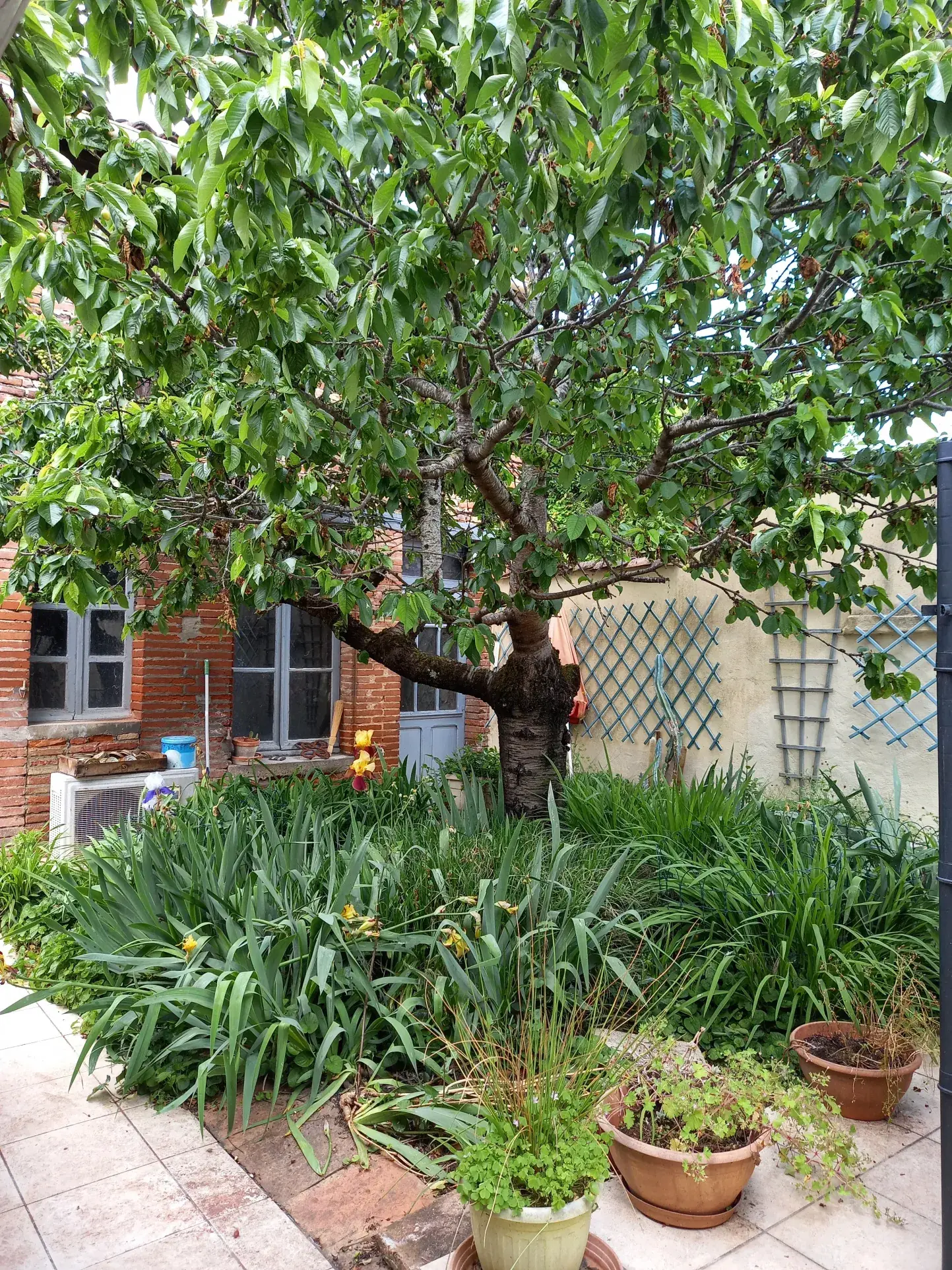 Maison familiale avec piscine, jardin, garage et dépendance à Moissac 