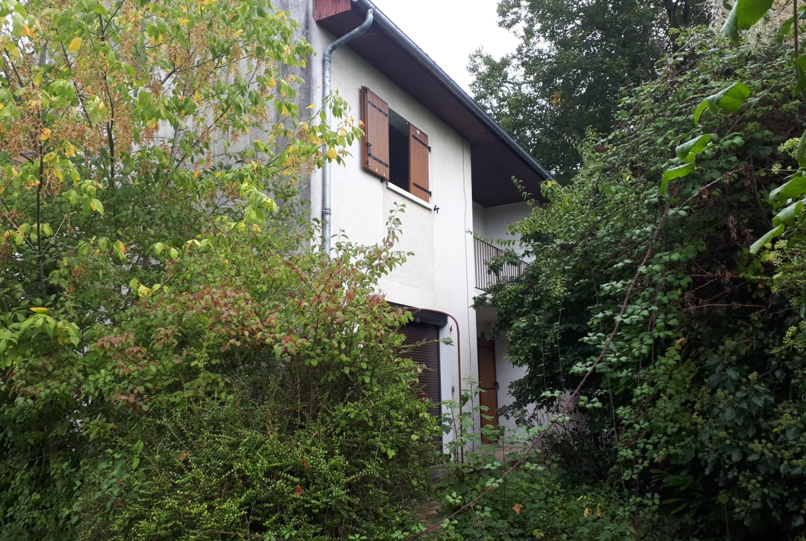 Maison lumineuse avec jardin et terrasse à Poitiers 