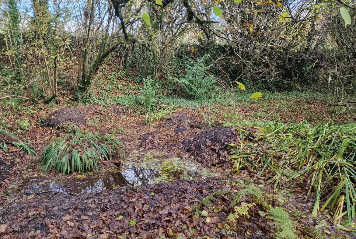 Maison en pierre de 78 m² avec dépendance et grand terrain à Kerien 