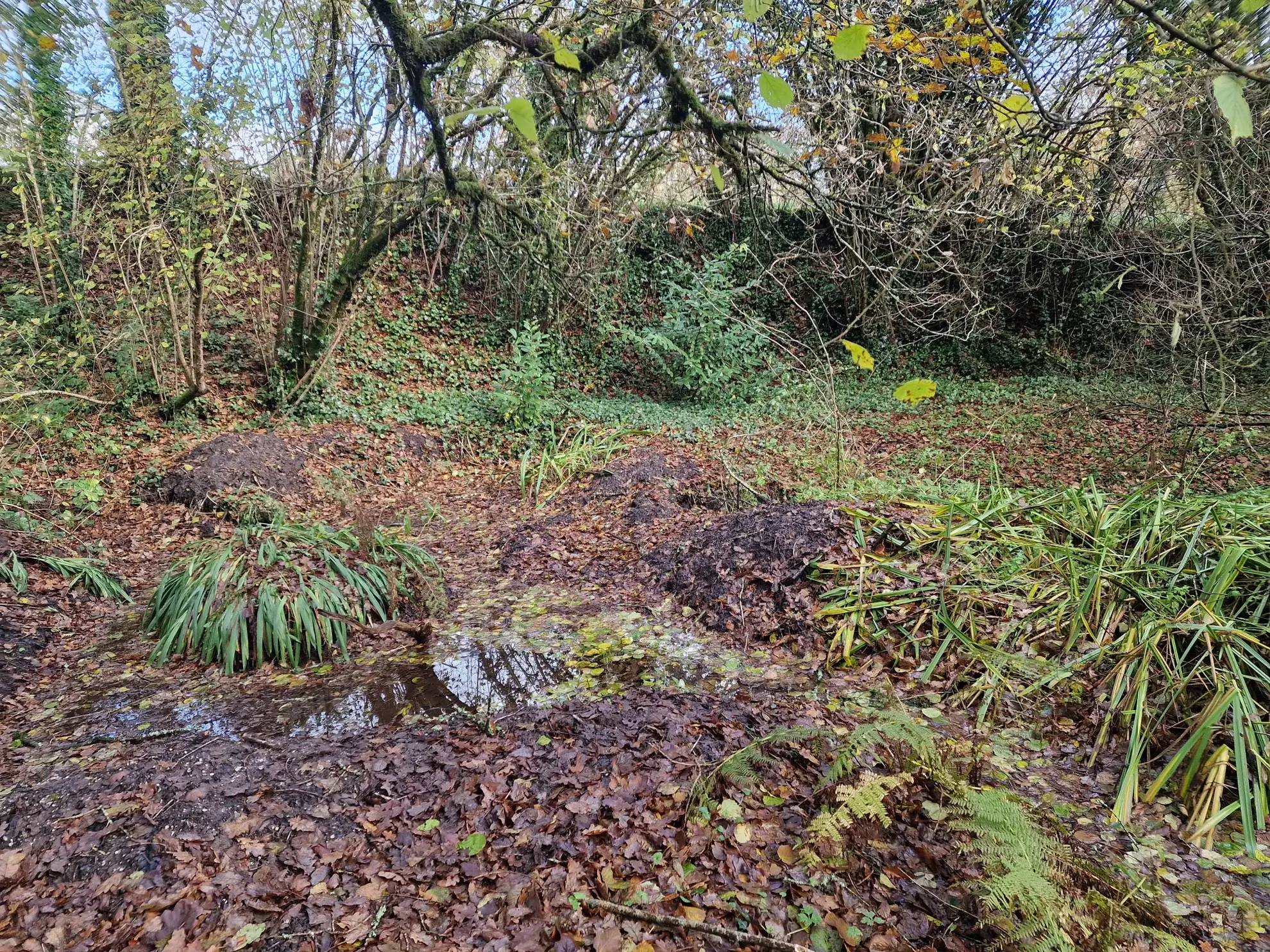 Maison en pierre de 78 m² avec dépendance et grand terrain à Kerien 