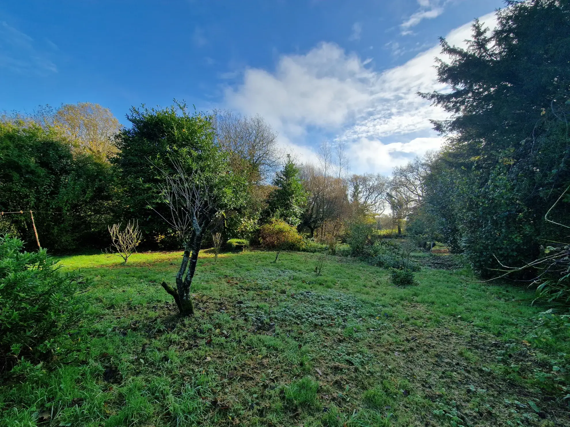 Maison en pierre de 78 m² avec dépendance et grand terrain à Kerien 