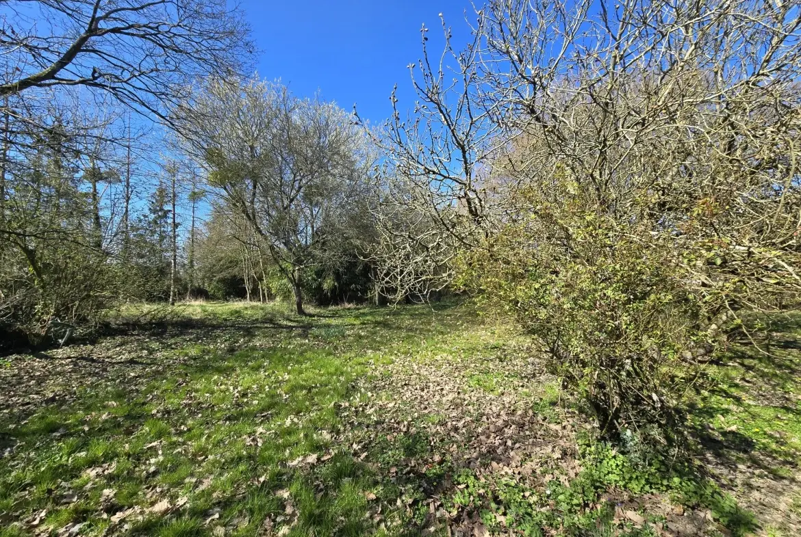 Charmante longère à rénover à Beton-Bazoches, terrain de 4000 m² 