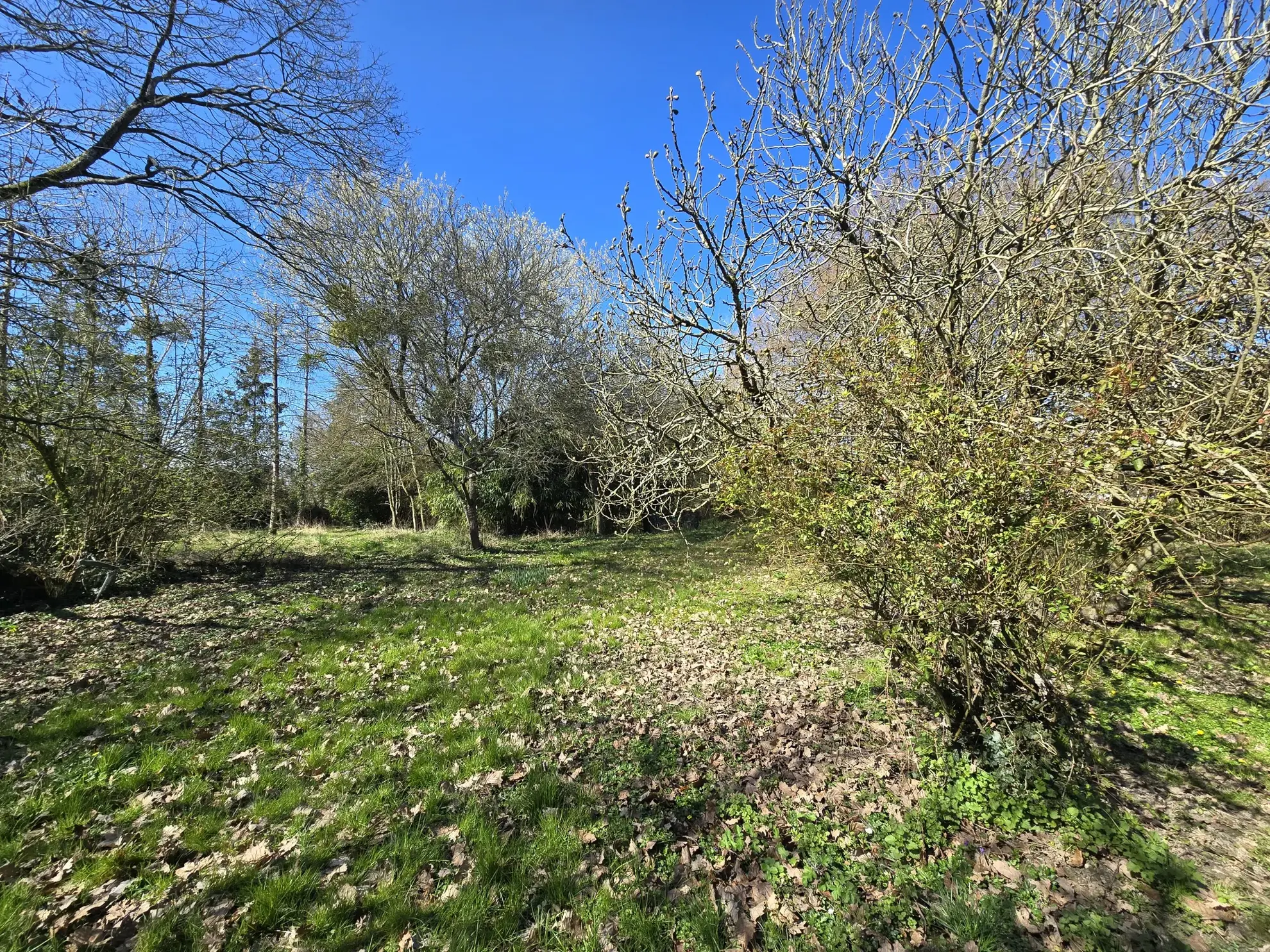 Charmante longère à rénover à Beton-Bazoches, terrain de 4000 m² 