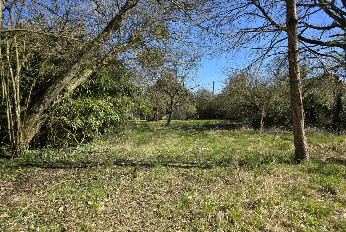 Charmante longère à rénover à Beton-Bazoches, terrain de 4000 m² 