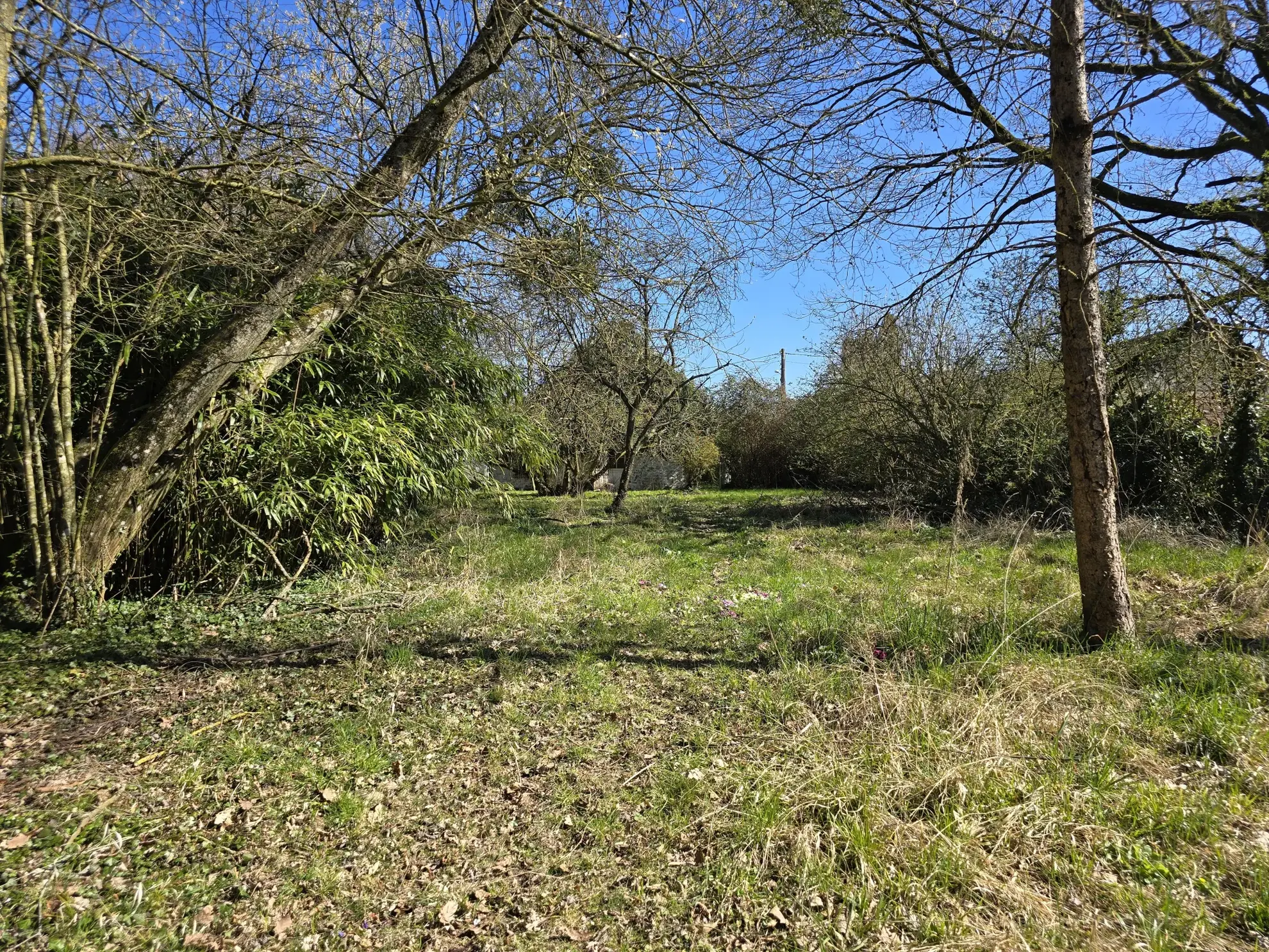 Charmante longère à rénover à Beton-Bazoches, terrain de 4000 m² 