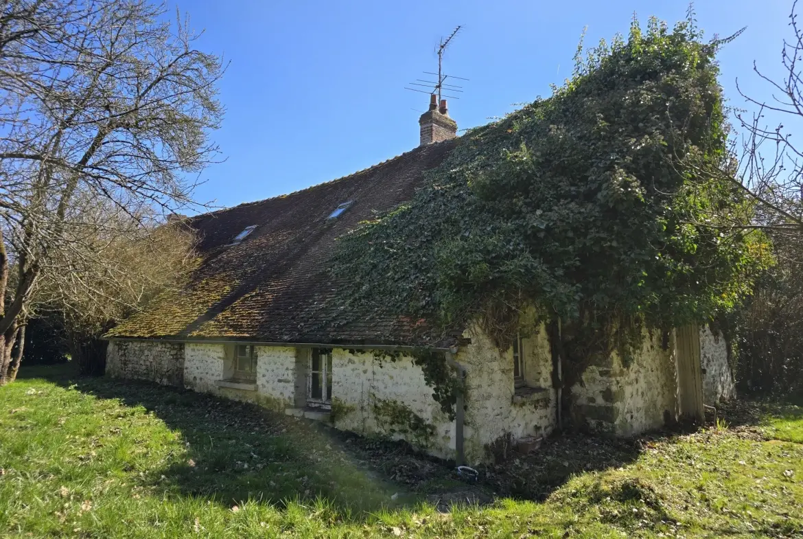 Charmante longère à rénover à Beton-Bazoches, terrain de 4000 m² 