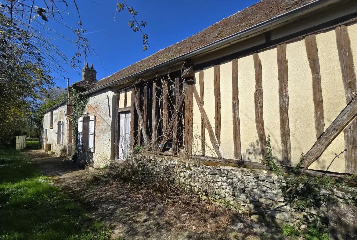 Charmante longère à rénover à Beton-Bazoches, terrain de 4000 m² 