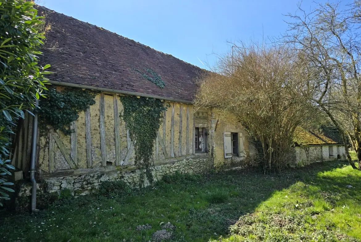 Charmante longère à rénover à Beton-Bazoches, terrain de 4000 m² 