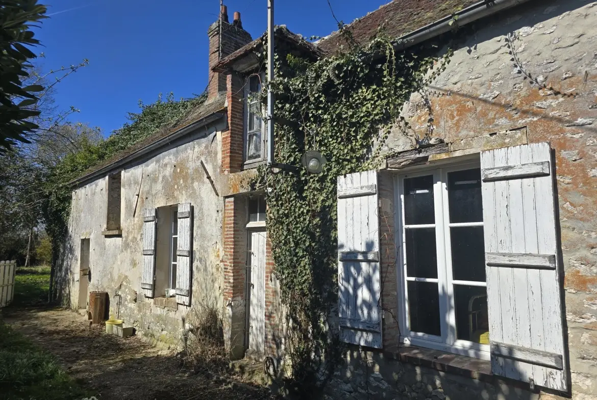 Charmante longère à rénover à Beton-Bazoches, terrain de 4000 m² 