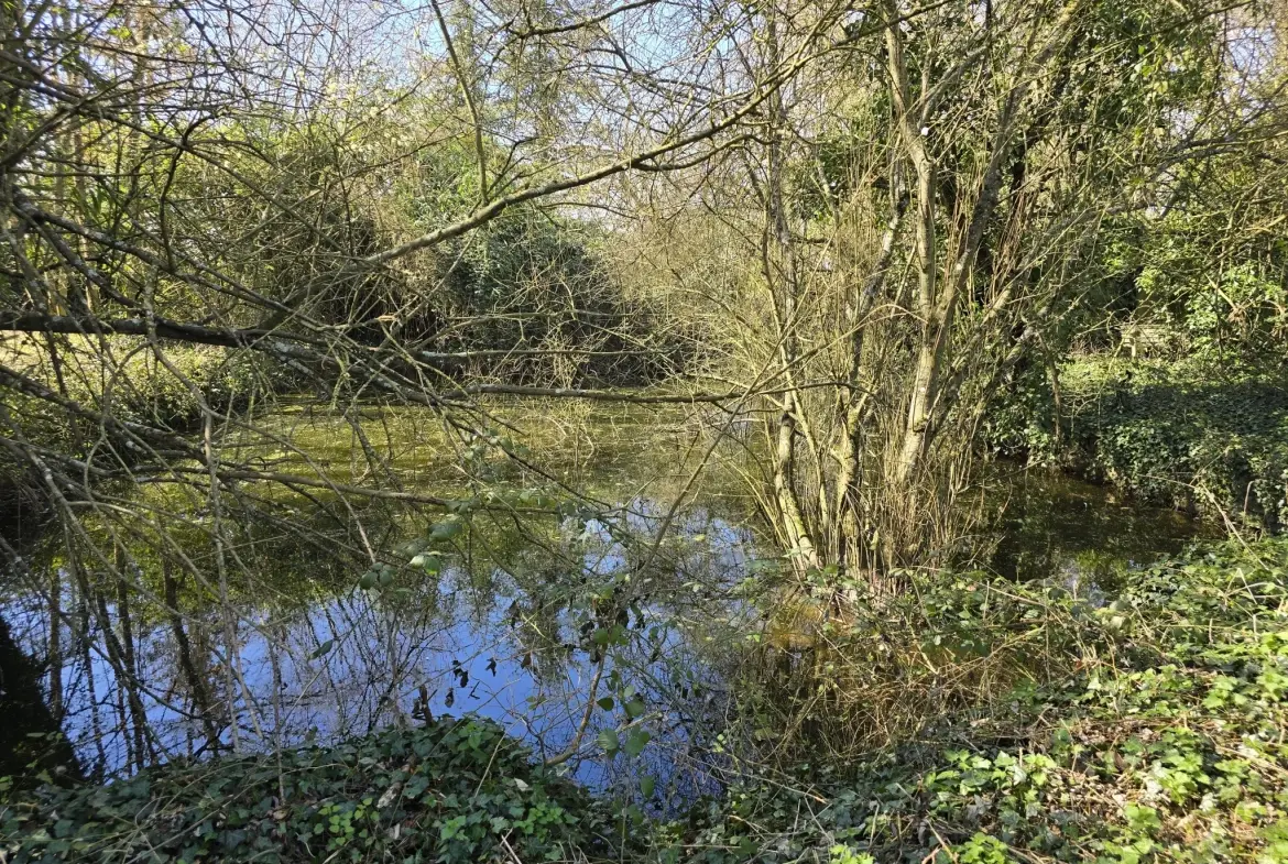 Charmante longère à rénover à Beton-Bazoches, terrain de 4000 m² 