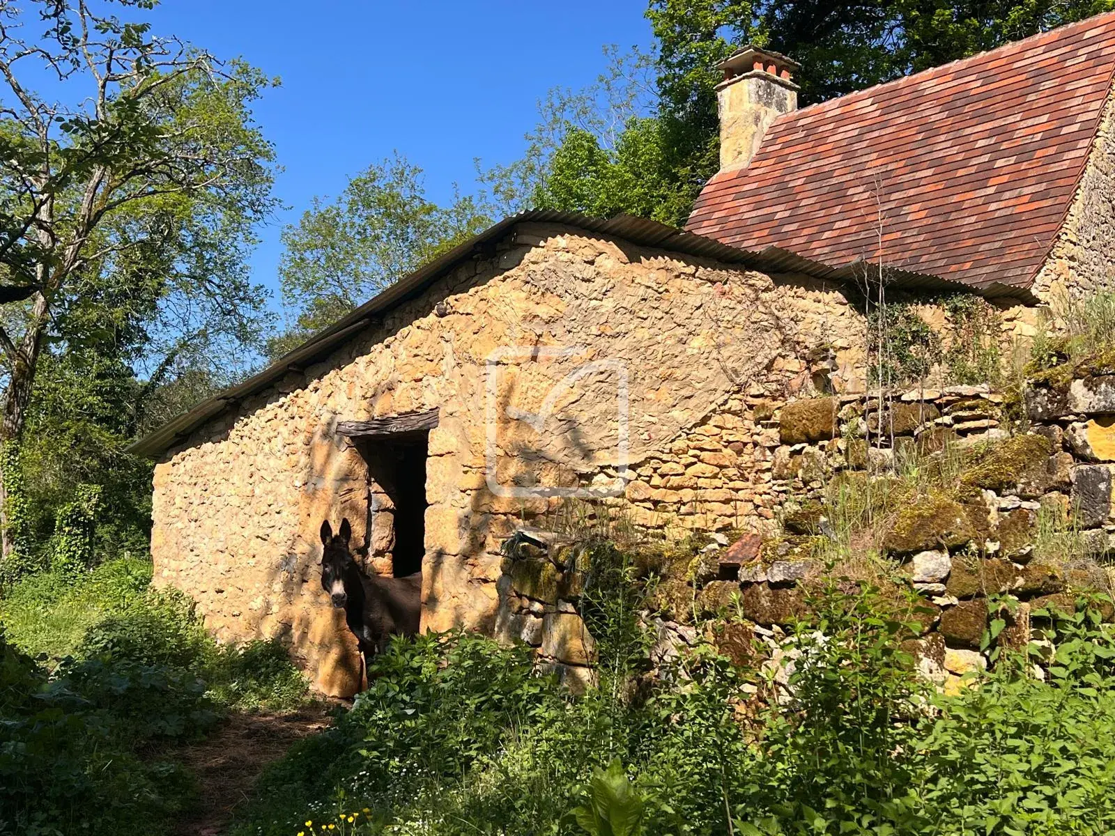 Corps de Ferme à Rénover avec Potentiel à Sarlat, Dordogne 