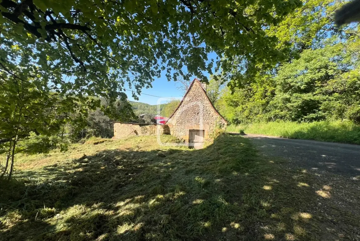 Corps de Ferme à Rénover avec Potentiel à Sarlat, Dordogne 