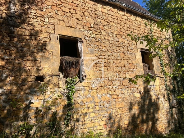 Corps de Ferme à Rénover avec Potentiel à Sarlat, Dordogne 