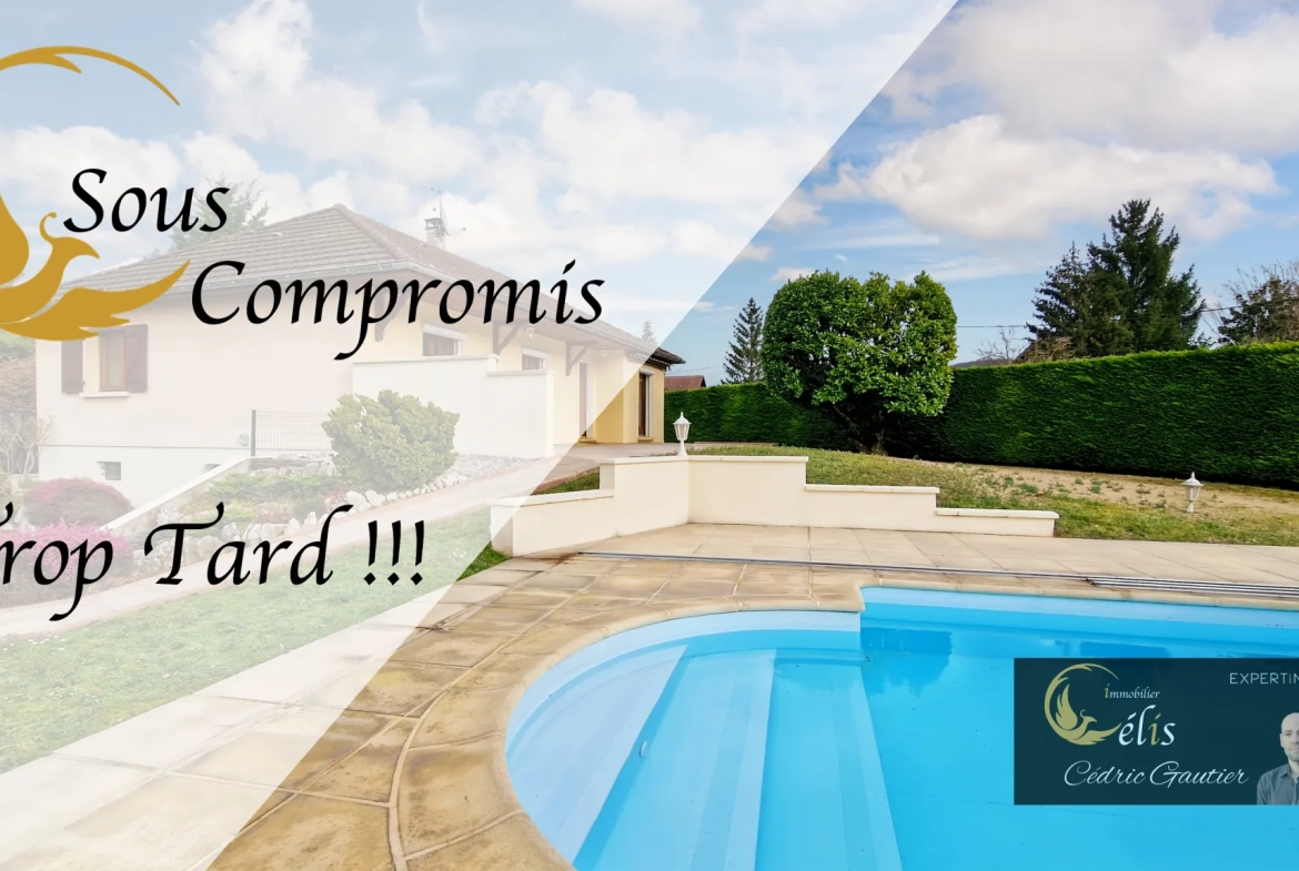 Charmante maison de plain-pied avec piscine et grand terrain à Ruy 