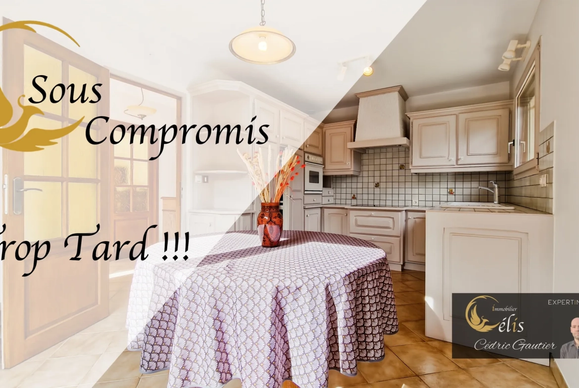 Charmante maison de plain-pied avec piscine et grand terrain à Ruy 