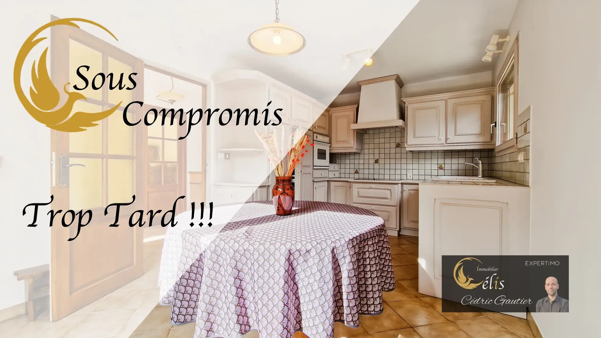 Charmante maison de plain-pied avec piscine et grand terrain à Ruy 