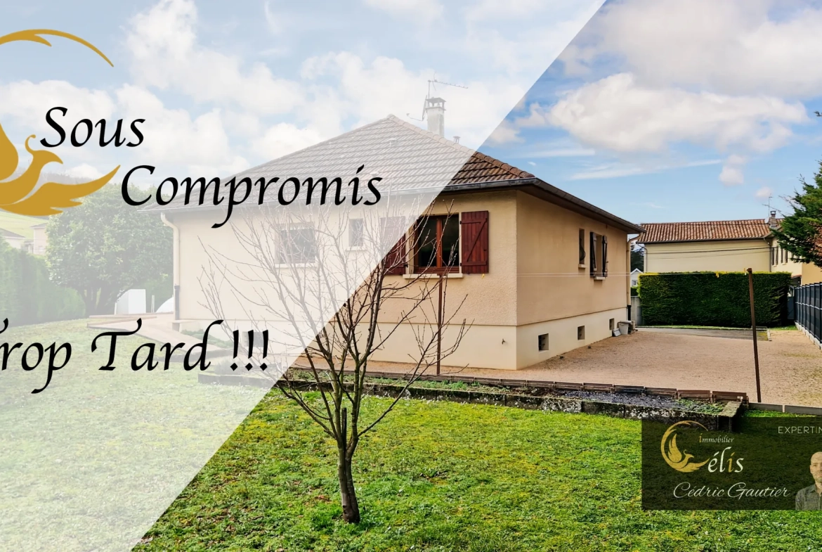 Charmante maison de plain-pied avec piscine et grand terrain à Ruy 