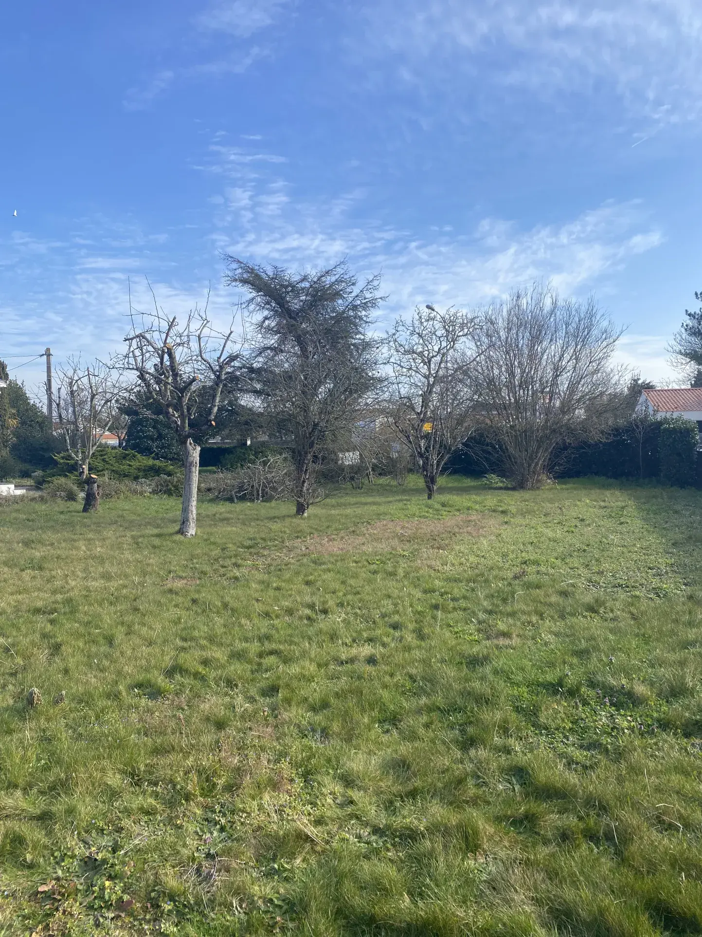 Terrain constructible de 700 m² à Challans proche Hyper U – Opportunité rare 
