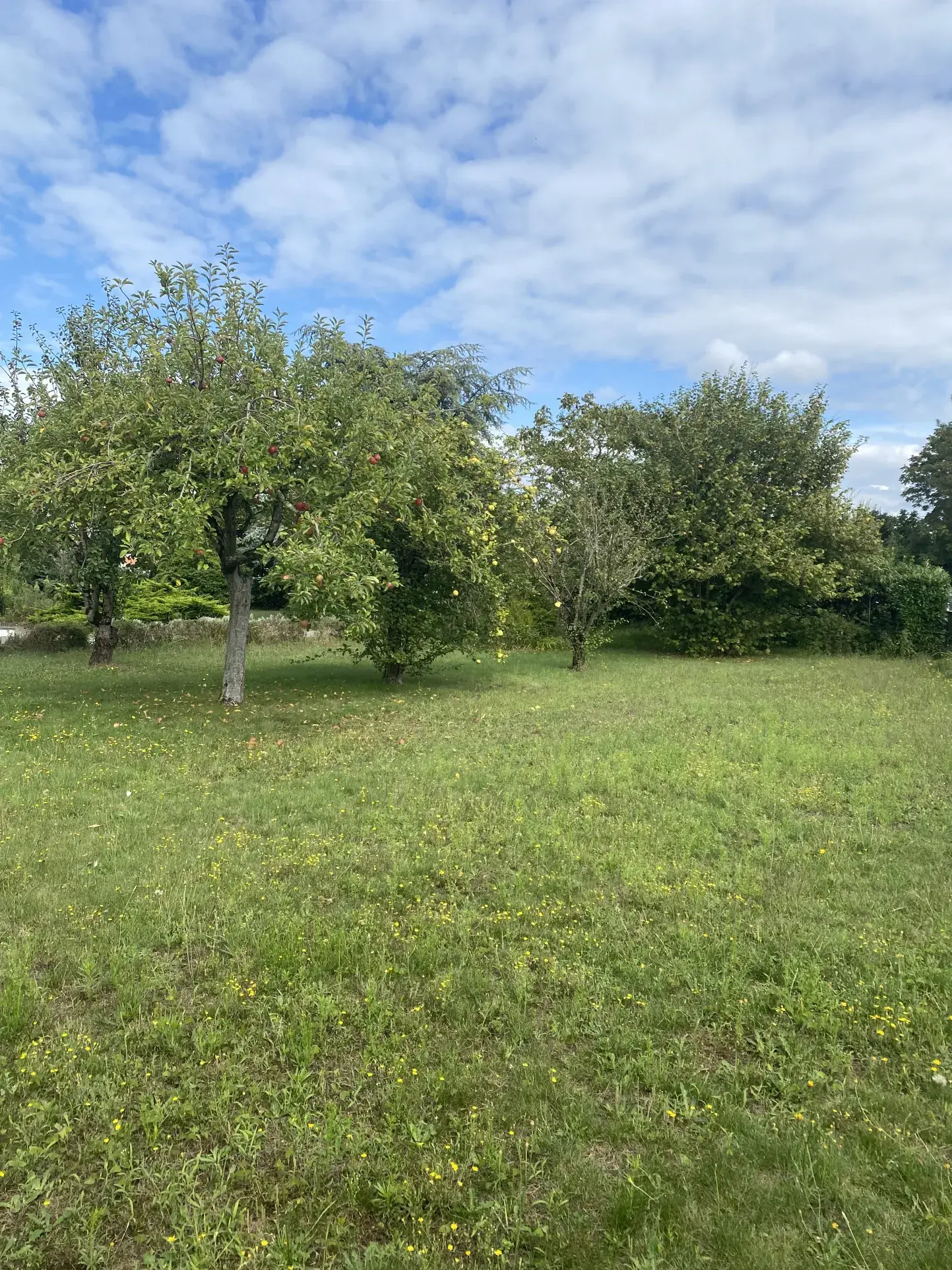 Terrain constructible de 700 m² à Challans proche Hyper U – Opportunité rare 