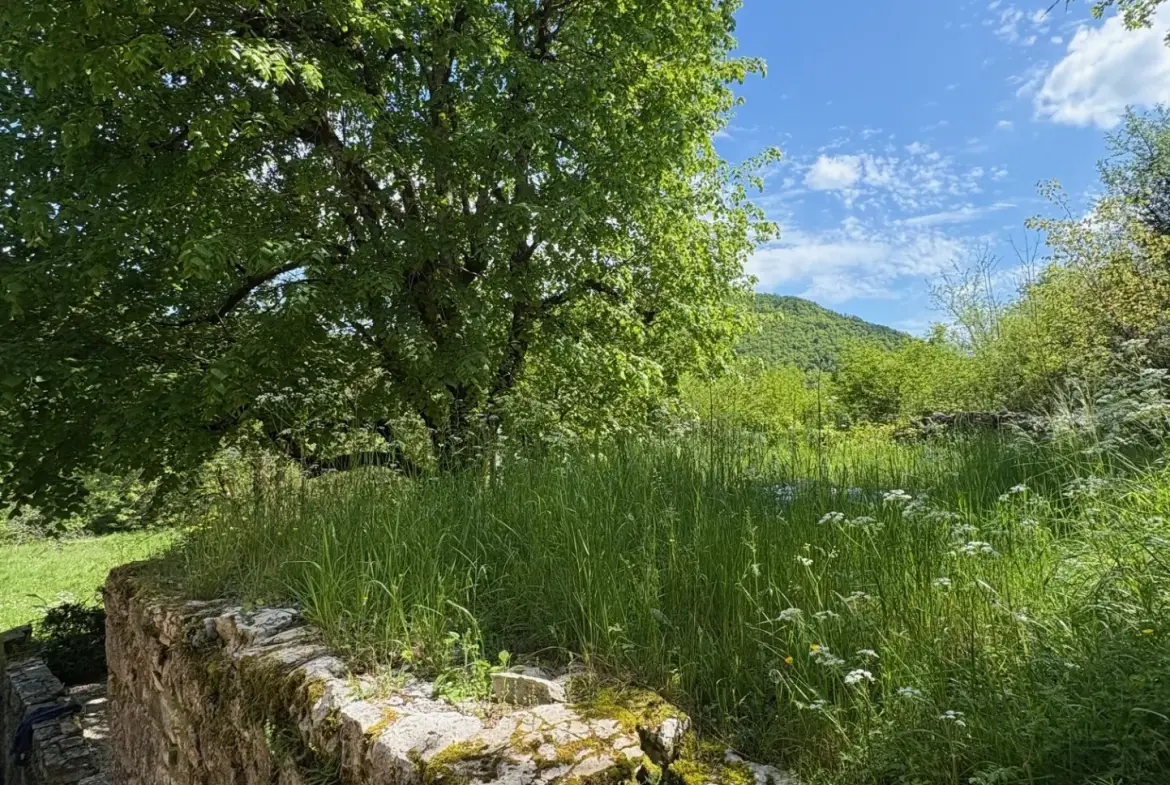 Charmante maison en pierre avec grand terrain dans le Lot (46) 