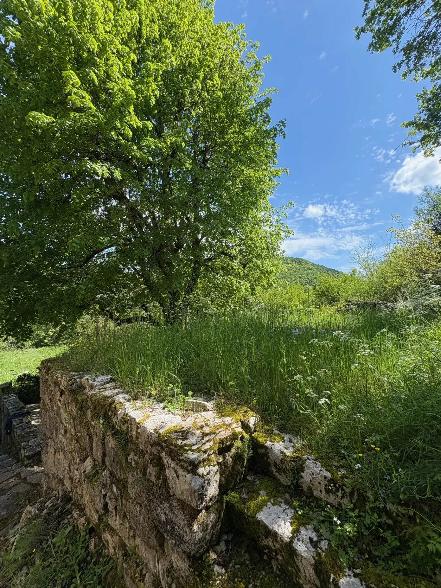 Charmante maison en pierre avec grand terrain dans le Lot (46) 