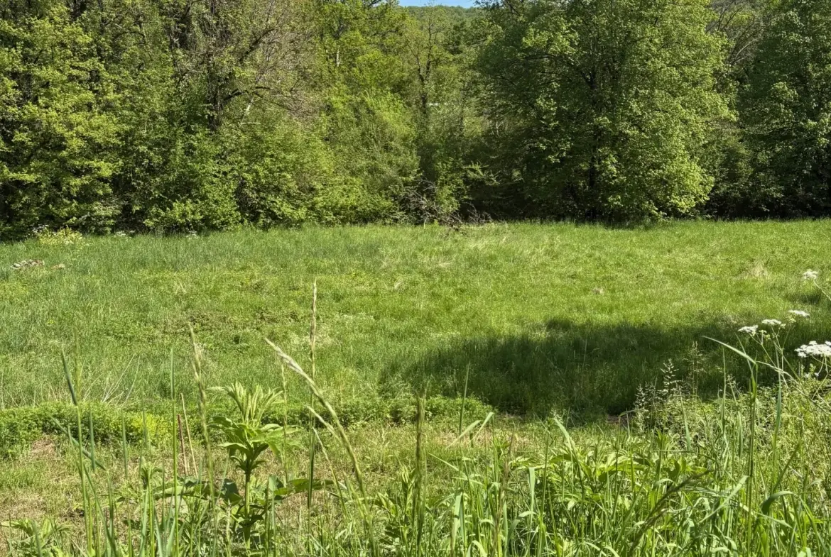 Charmante maison en pierre avec grand terrain dans le Lot (46) 