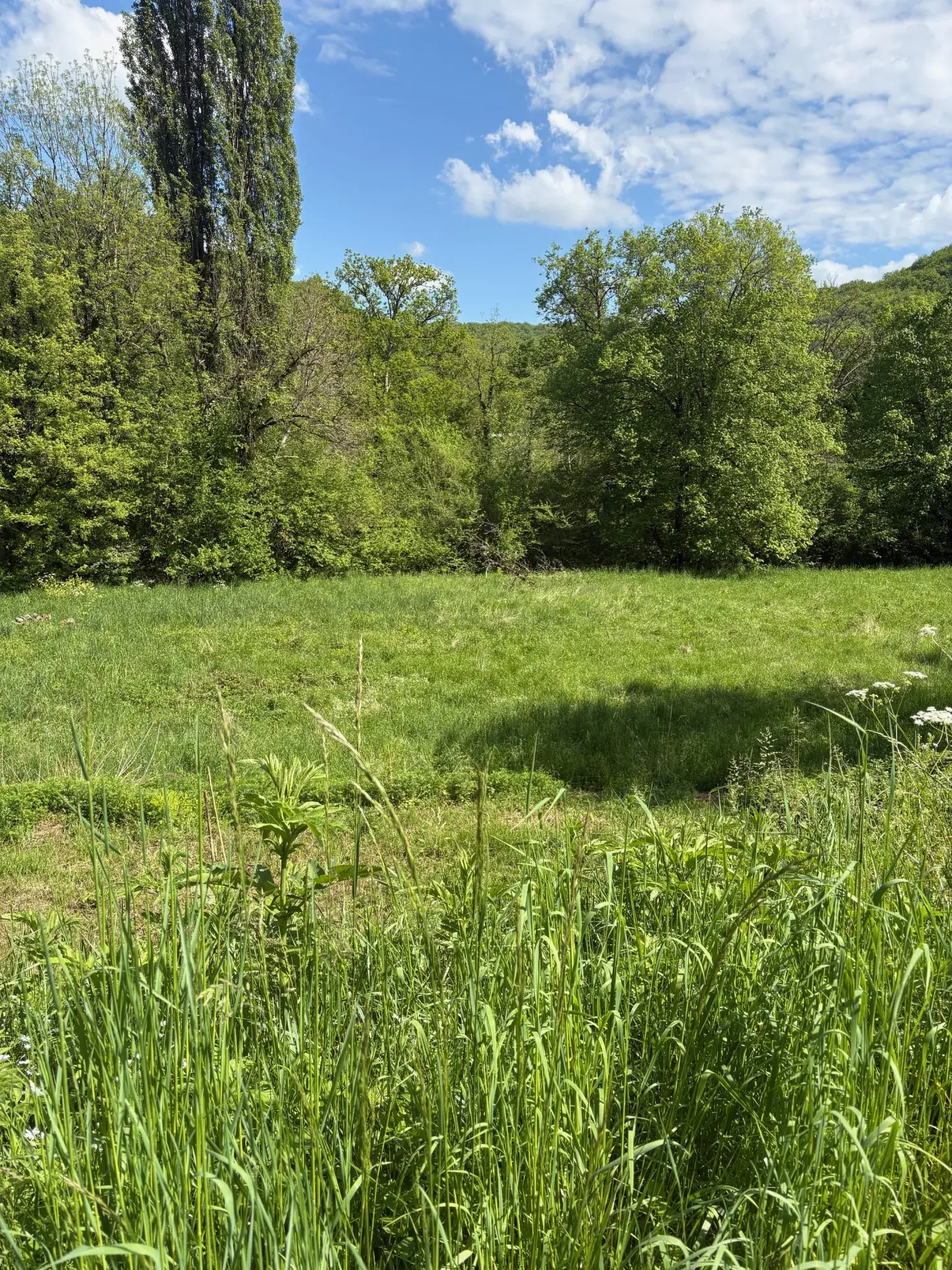 Charmante maison en pierre avec grand terrain dans le Lot (46) 