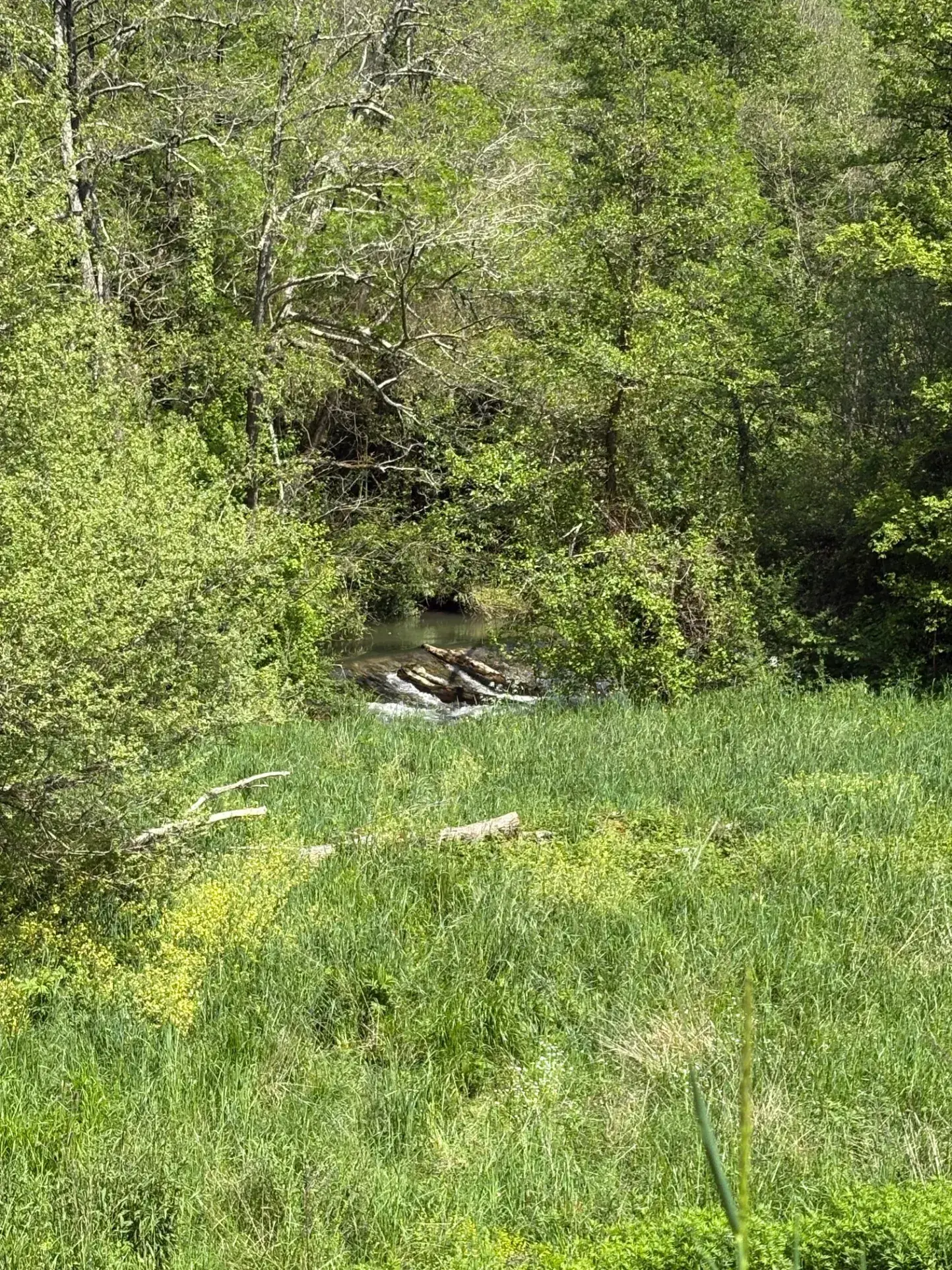 Charmante maison en pierre avec grand terrain dans le Lot (46) 