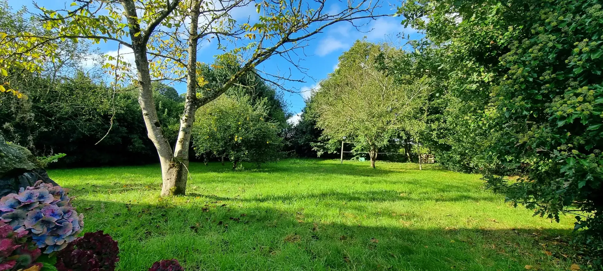 Magnifique longère de 5 pièces avec gîte indépendant à Ménéac, près de Rennes 