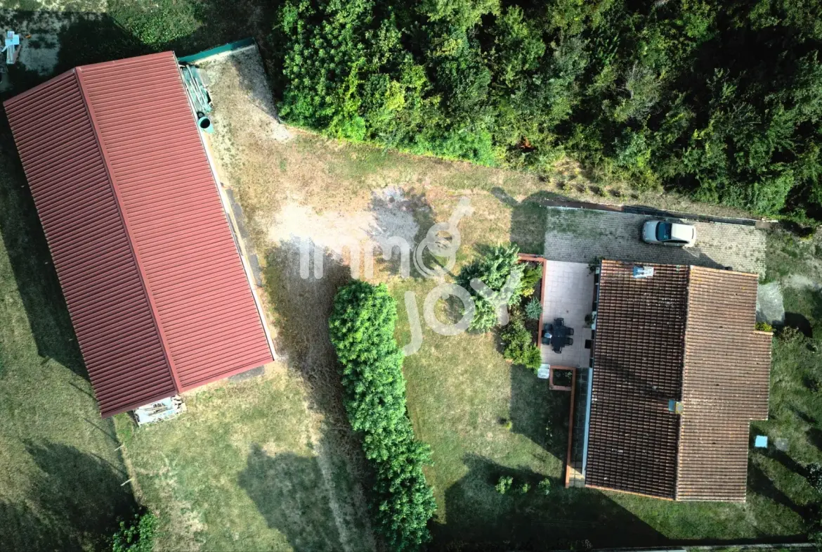 Ensemble immobilier avec maison et local d'activités à Grazac, proche Toulouse 