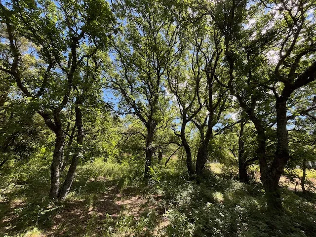 Terrain constructible de 1800 m2 à Rustrel, vue dégagée en zone UC 