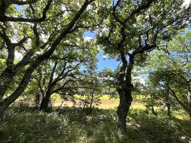 Terrain constructible de 1800 m2 à Rustrel, vue dégagée en zone UC 