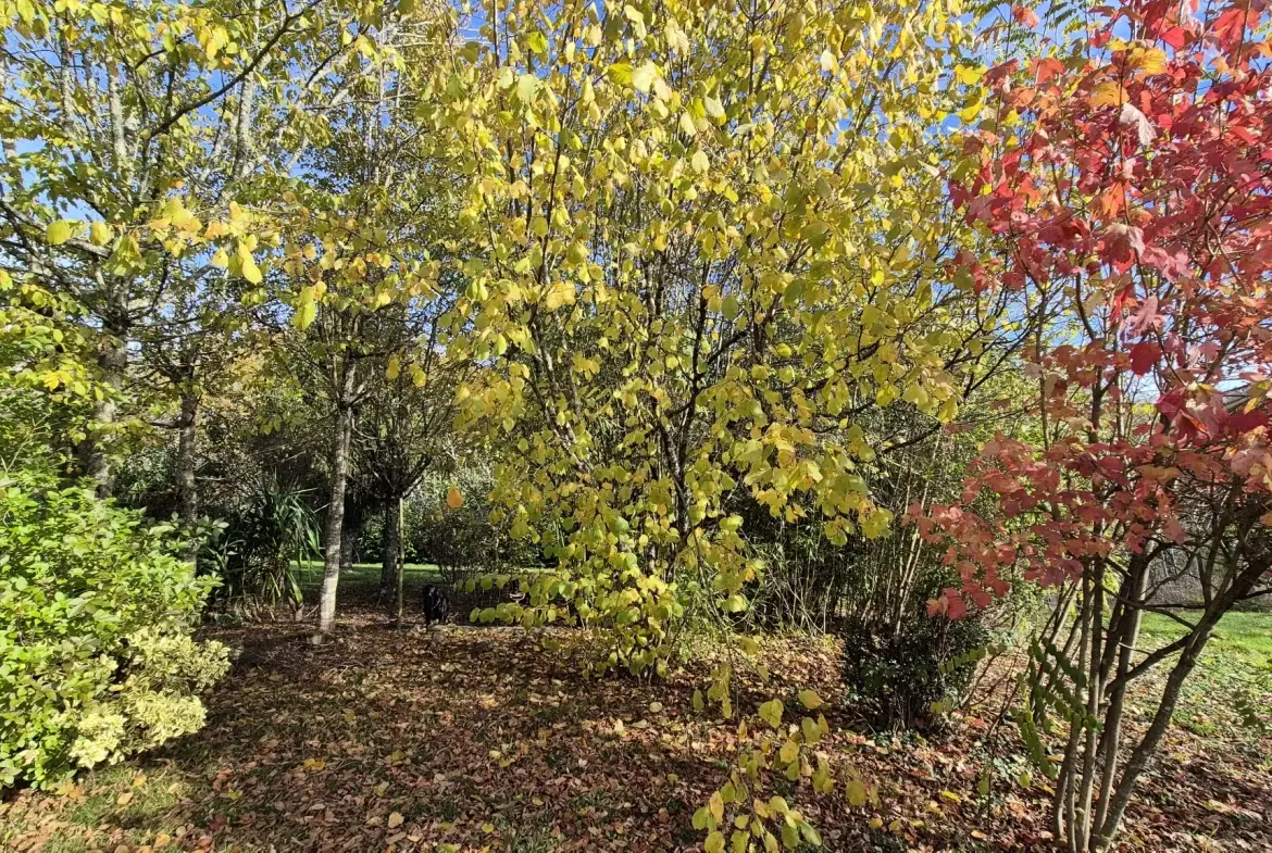 Belle maison récente avec terrain de 1 hectare et gîte à La Chapelle-Gonaguet 