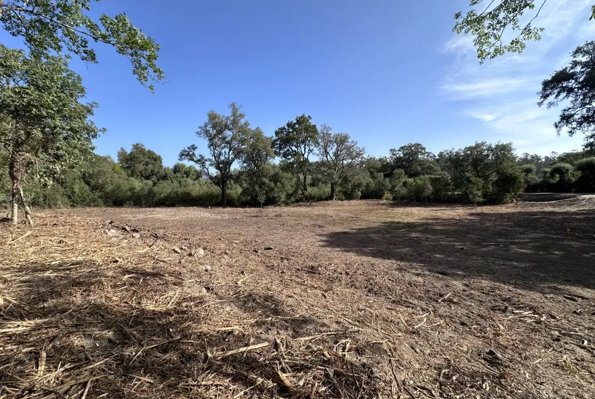Terrain constructible de 860 m² à Serra di Fiumorbu pour votre projet immobilier 