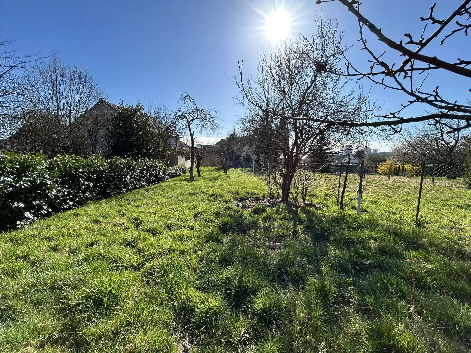 Maison à vendre à L'Hôpital (57490) avec jardin et 3 chambres - Immobilier charmant 