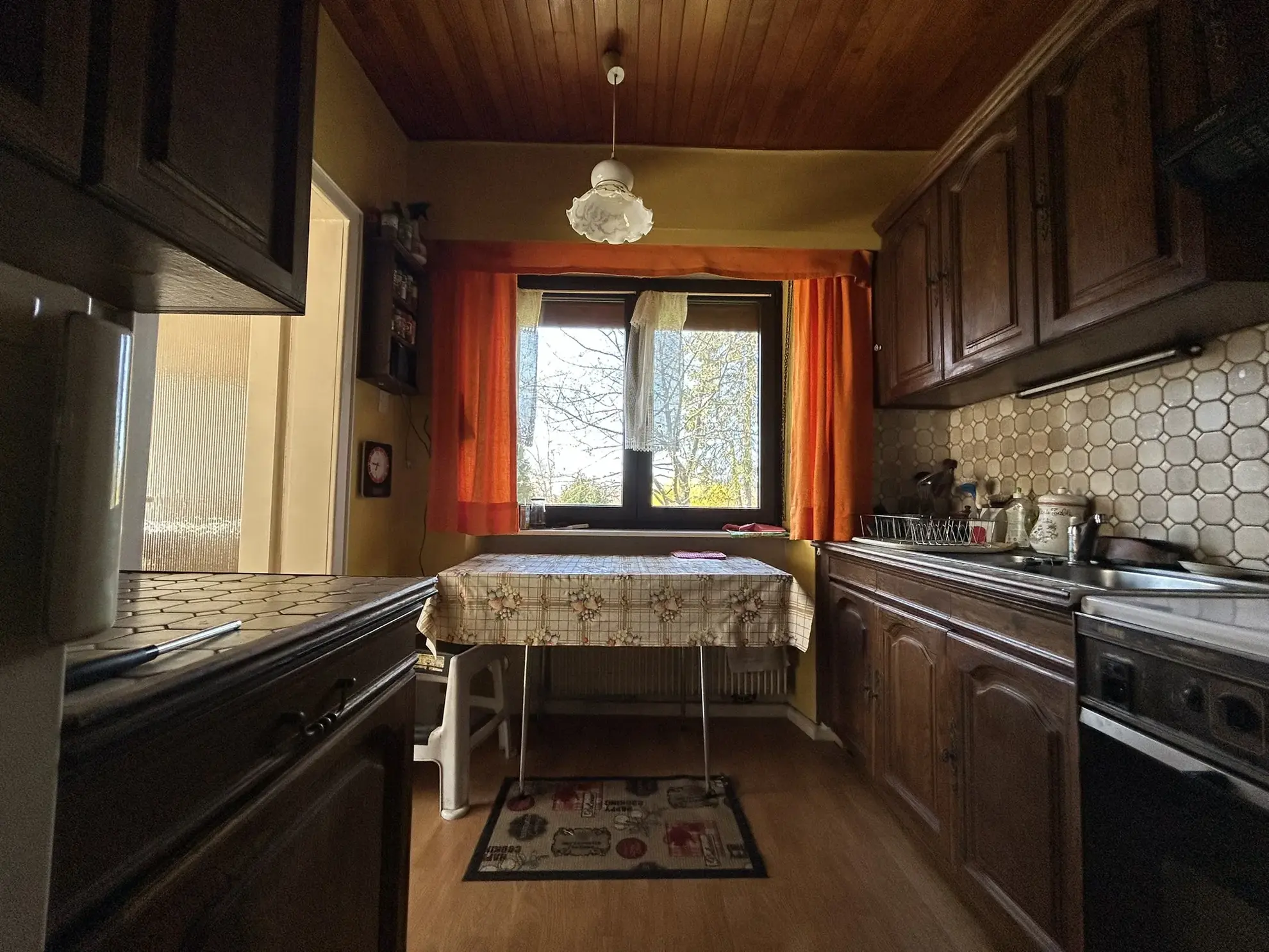 Maison à vendre à L'Hôpital (57490) avec jardin et 3 chambres - Immobilier charmant 