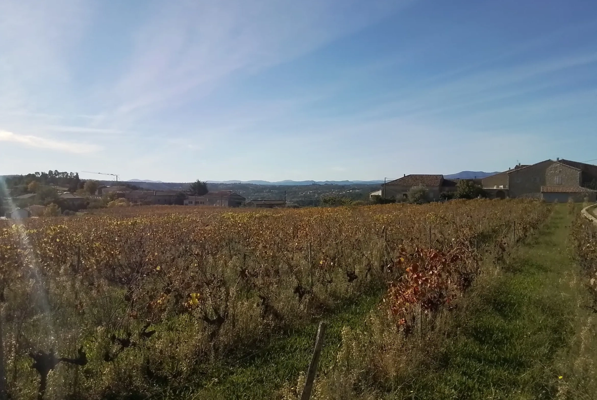 Maison typique ardéchoise avec vue panoramique à Rosières (07), rénovée et offrant un fort potentiel 