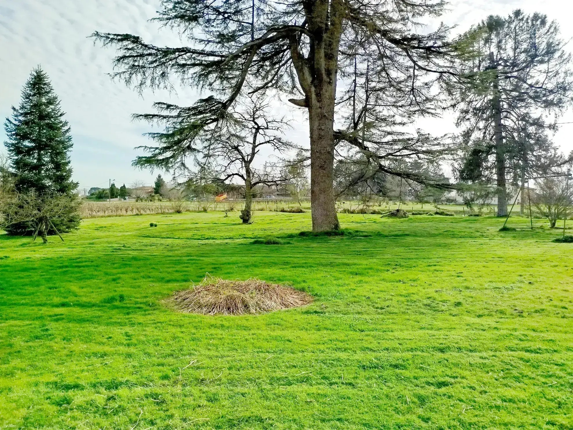 Longère en pierres avec jardin à Soussac, proche Sauveterre et Pellegrue – pot.div.2 logements 