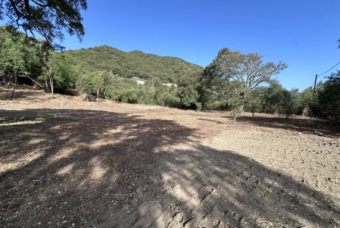 Terrain constructible de 1000 m² à Serra-Di-Fiumorbo - Opportunité à saisir 