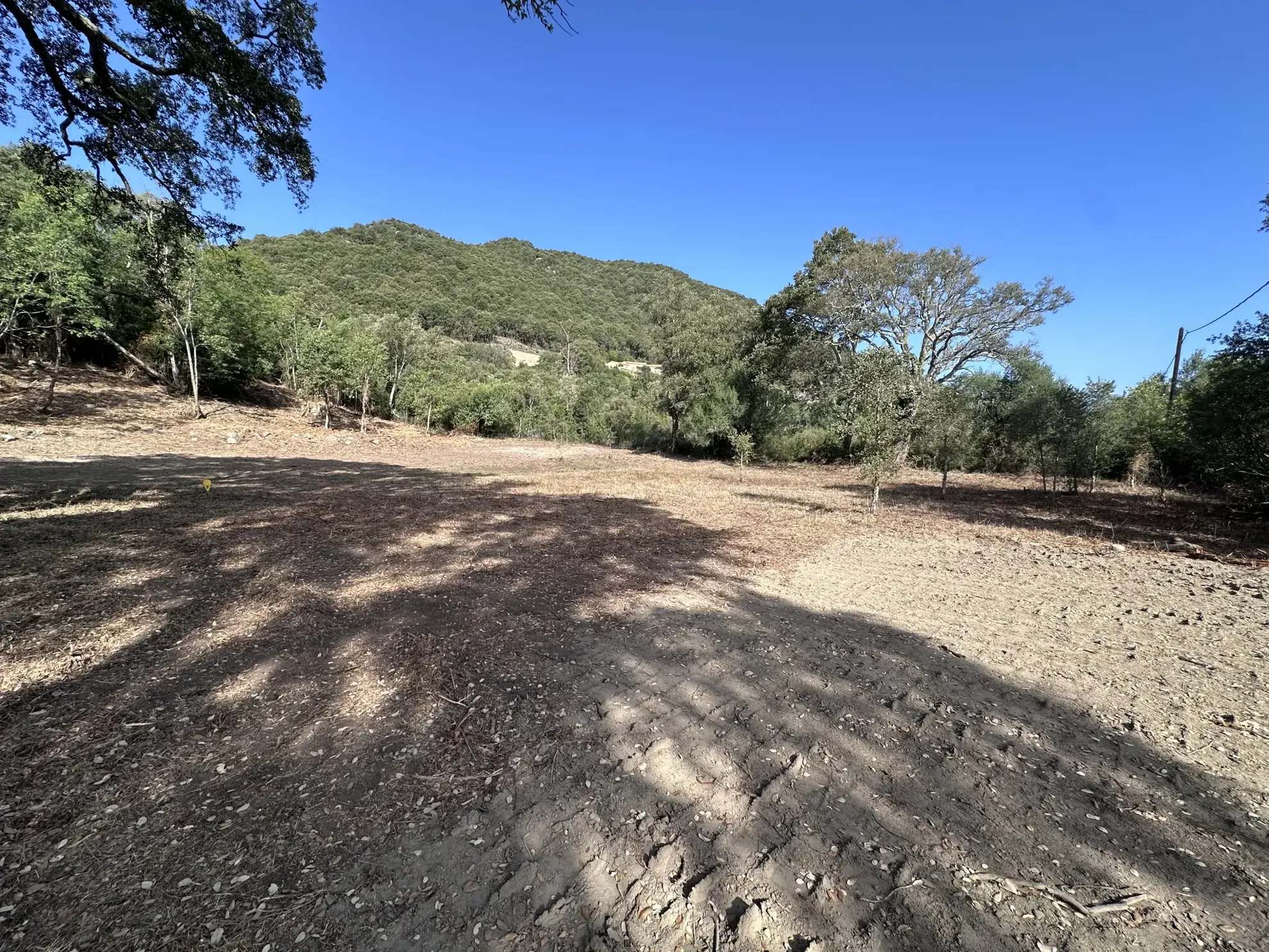 Terrain constructible de 1000 m² à Serra-Di-Fiumorbo - Opportunité à saisir 