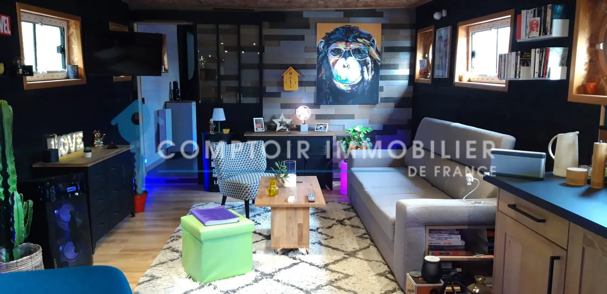 À vendre péniche meublée à Arles – logement unique sur l'eau 