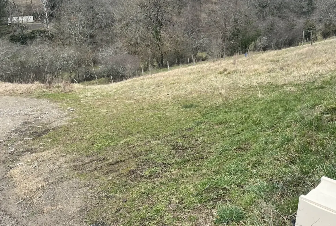 Terrain constructible de 1065 m² à Villefranche de Rouergue — Quartier calme et résidentiel 