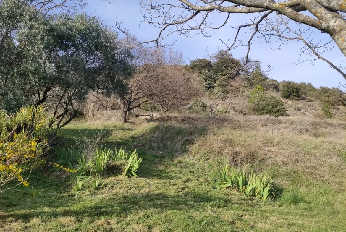 Ferme provençale authentique à Volonne de 103 m² avec dépendances et terrain de 5300 m² 